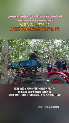 風災釀悲劇與城市公共安全的深層思考